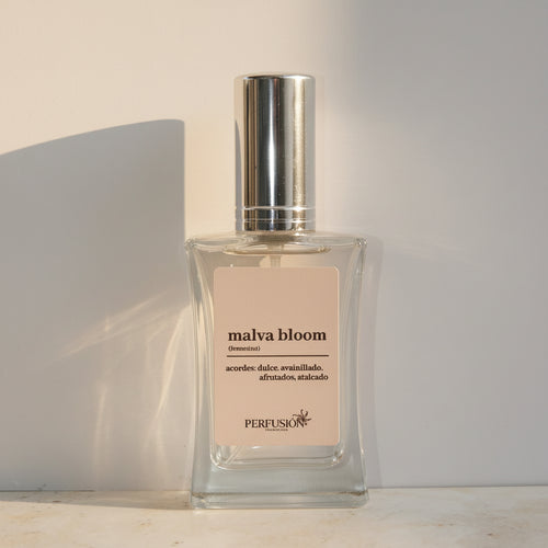 Malva Bloom